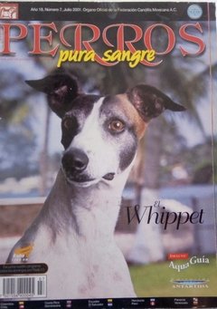 WHIPPET JUL 2001