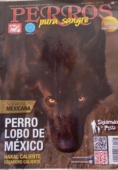 PERRO LOBO DE MEXICO JUL 2018