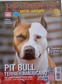 PIT BULL TERRIER AMERICANO ABR 2018