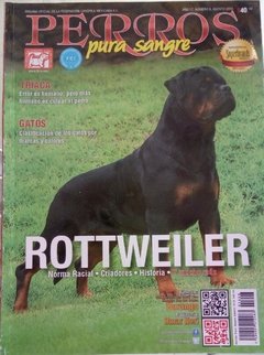 ROTTWEILER AGOSTO 2016