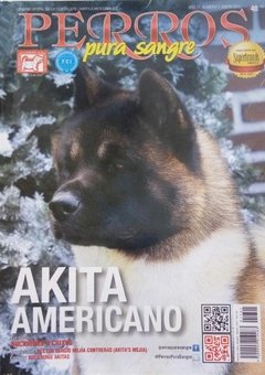 AKITA AMERICANO ENE 2017