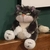 Imagen de Combo Gato +Glitter Spray Grande