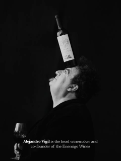 Gran Enemigo Gualtallary 2023 - Wines Argentina Express