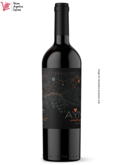 Ayni Gravas Malbec