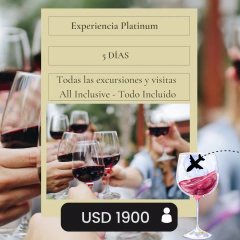 Experiencia Platinum