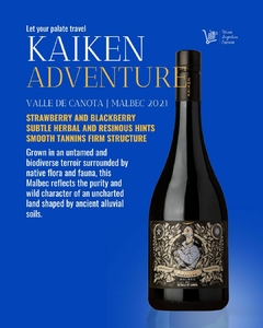 KAIKEN ADVENTURE on internet