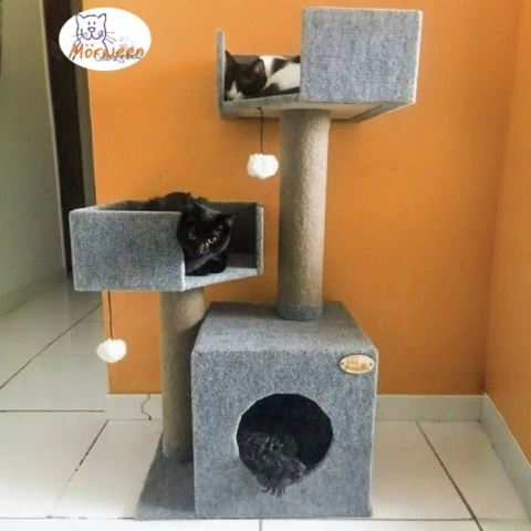 Cat Tree Cisco C/ 2 Moises - Morween - Cosa de Gatos