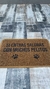 SI ENTRAS SALDRAS CON MUCHOS PELITOS - comprar online