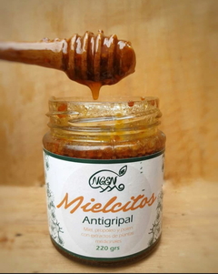Antigripal Natural x 220 Gr. ´´Mielcitos´´