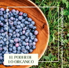 Arándanos Orgánicos Deshidratados x 120 Gr. ´´Simply Good´´ - comprar online
