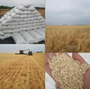 Avena Arrollada Agroecológica x 5 Kg. ´´Triskel´´ - comprar online