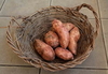 Batatas Agroecológicas x Kg. (Variedad: Boniato) - comprar online