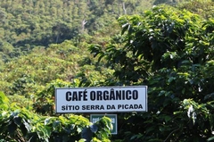 Café en Granos Orgánico x 250 Gr. ´´Las Flores´´ (Origen: Brasil) en internet