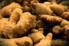 Jengibre Agroecológico x Kg