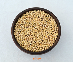 Porotos de Soja Orgánica x Kg.