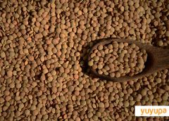 Lentejas Agroecológicas - comprar online