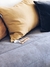 PILLOW en internet