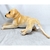 Cachorro De Pelúcia Caramelo Golden Deitado 42cm Comp - comprar online