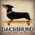 Dachshund Longboards en internet