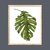 Tropical Palm I