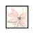 Blush Clematis I en internet