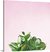 Succulent Simplicity on Pink V