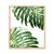 Double Philodendron