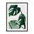 Monstera I - tienda online