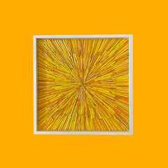 Cosmos amarillo