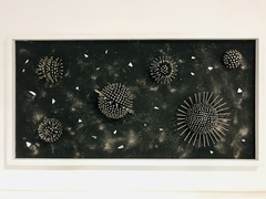 Galaxia
