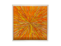 Cosmos naranja - comprar online