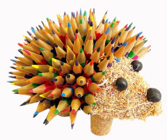 Puercoespin multicolor - tienda online