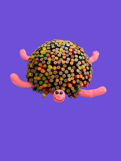 Tortuga MULTICOLOR