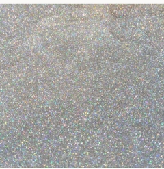 GLITTER SILVER HOLO- 10GR