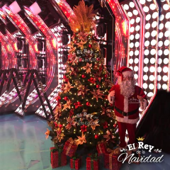 Arbol De Navidad Monarca Plus 3.00mt Patas Metálicas en internet