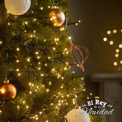 Imagen de Guirnalda de 100 Luces Led FIJAS PROLONGABLES 9mts Blanco Calido Cable Verde
