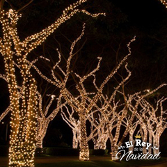 Guirnalda Profesional Apta Exterior LED PLATINUM Blanca Calida 10mts prolongable CABLE VERDE - El Rey de la Navidad