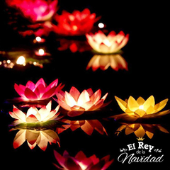 Flor de Loto Luminosa Flotante Set x 6u. - tienda online