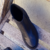 Bota Corta Cuero Negro en internet