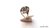 Anillo de Plata y Oro Árbol de la Vida Calado en internet