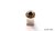 Anillo de Plata y Oro Árbol con Piedra Verde