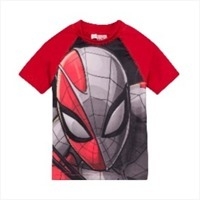 Remera manga corta Spiderman - UV