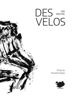 Desvelos - Ani Mestre