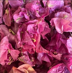 LAQHI HIBISCUS DOBLE