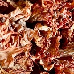 LAQHI SAUCE - tienda online