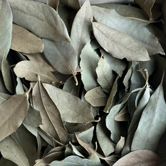 LAQHI LAUREL - comprar online