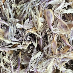 LAQHI AGAPANTHUS - comprar online