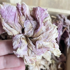 LAQHI HIBISCUS DOBLE en internet
