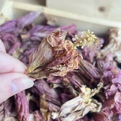 LAQHI HIBISCUS en internet