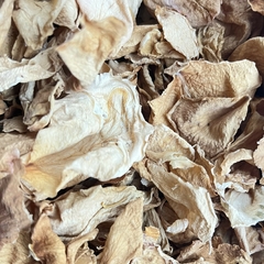 LAQHI LAGERSTROEMIA en internet